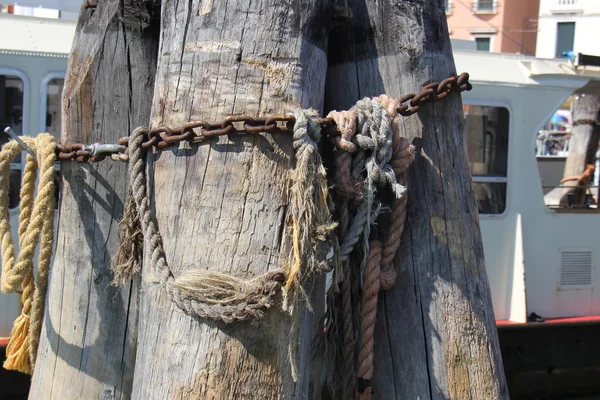 Struktur och textur av trä — Stockfoto
