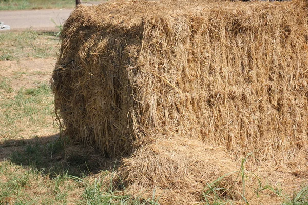 Straw lying on the field — Stock Photo, Image