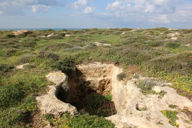 Akdeniz kıyısında