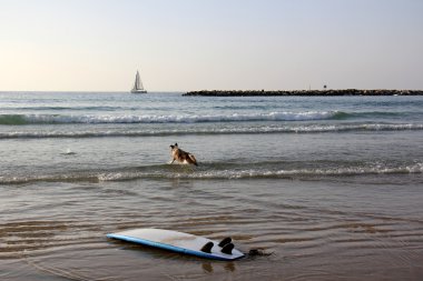 Akdeniz kıyısında