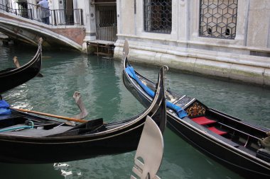 Gondol - kürek teknesi