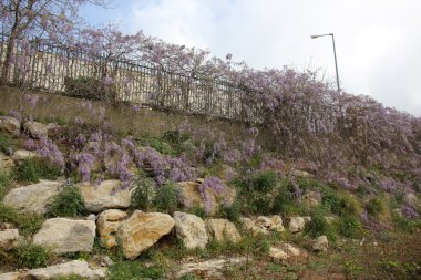 her zaman Sınırdaki telleri