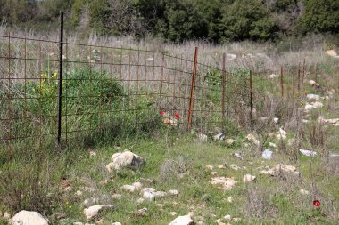 her zaman Sınırdaki telleri