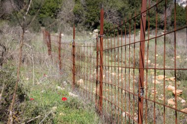 her zaman Sınırdaki telleri