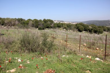 her zaman Sınırdaki telleri