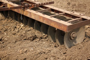 dikim svezhevspahannaya arazi