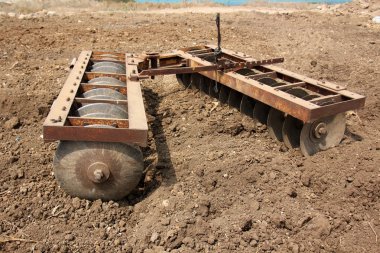 dikim svezhevspahannaya arazi