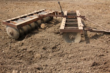 dikim svezhevspahannaya arazi