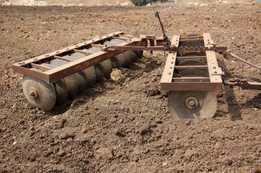 dikim svezhevspahannaya arazi