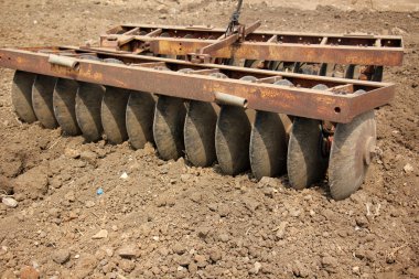 dikim svezhevspahannaya arazi