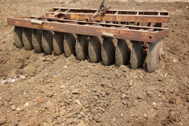 dikim svezhevspahannaya arazi