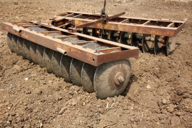 dikim svezhevspahannaya arazi