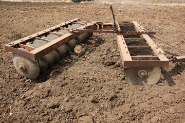 dikim svezhevspahannaya arazi