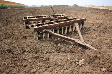 dikim svezhevspahannaya arazi