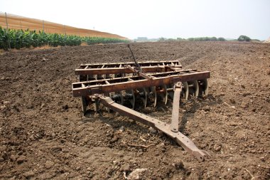 dikim svezhevspahannaya arazi