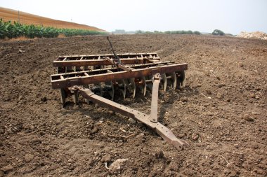 dikim svezhevspahannaya arazi