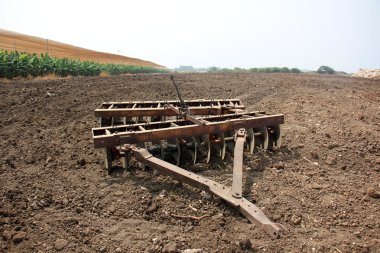 dikim svezhevspahannaya arazi