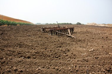 dikim svezhevspahannaya arazi