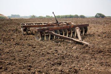 dikim svezhevspahannaya arazi