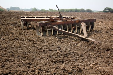 dikim svezhevspahannaya arazi