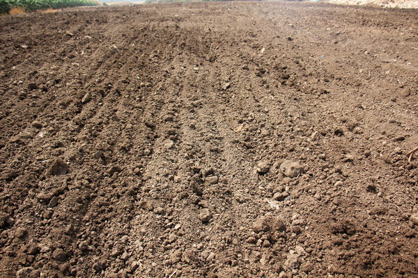 свежевспаханная земля для посадки
