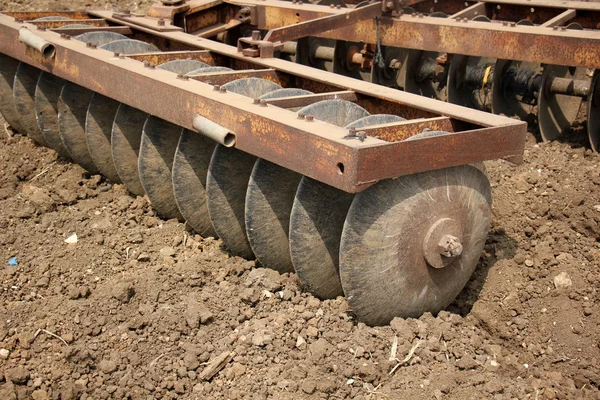 dikim svezhevspahannaya arazi