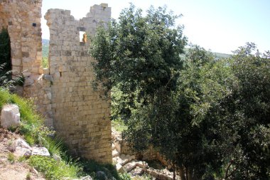 Antik kale Yehiam