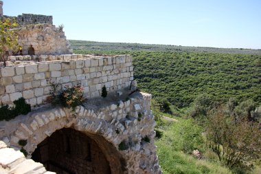 Antik kale Yehiam