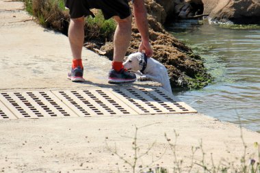 köpek kurtarmak öykü
