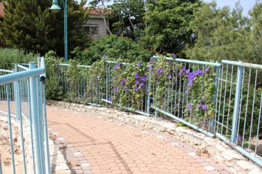 her zaman Sınırdaki telleri     