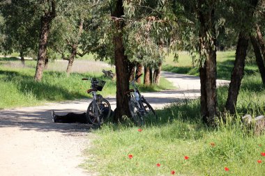 Tekerlek - yuvarlak pervane       