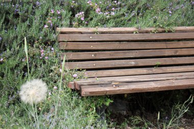 tezgah parkı eğlence için      