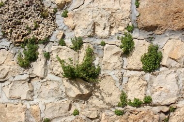 taş ve kayaların doku    