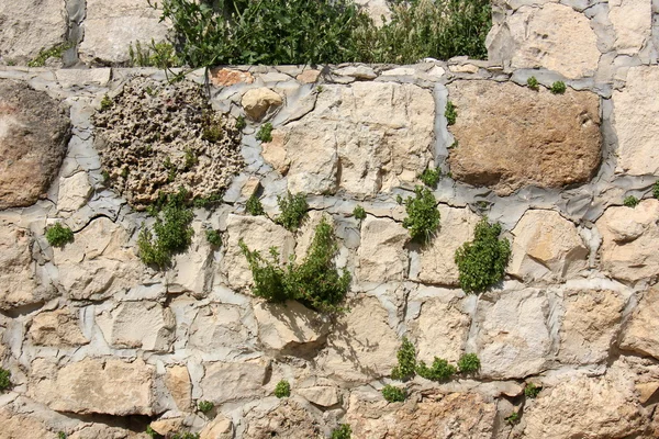 Texture of stone and rocks — Stock Photo, Image