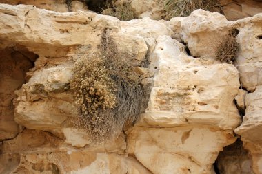 taş ve kayaların doku    