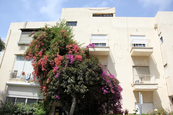 Overcast in Tel - Aviv — Stock Photo, Image