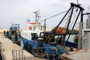 bağlantı noktası, Tel - Aviv Yafa'da       