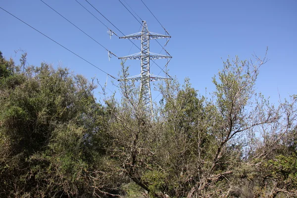 È palo elettrico — Foto Stock