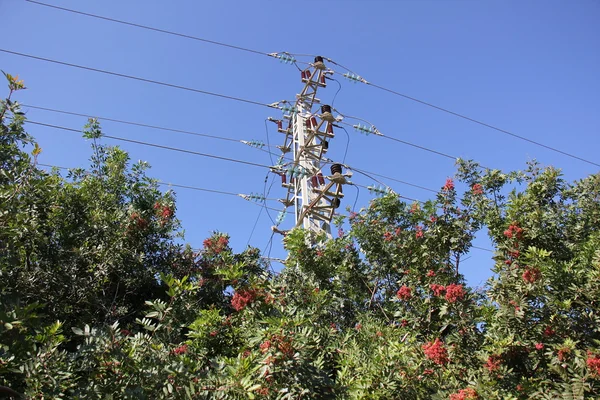 Elektrik Kutbu — Stok fotoğraf