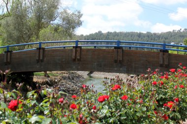 Parkta rahatlatıcı Maalot      