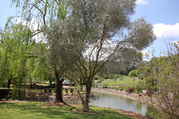 Maalot relaxing in the park — Stock Photo, Image