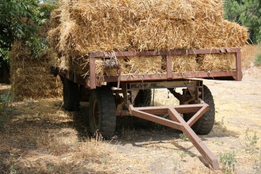 Kuru, sıkıştırılmış saman       