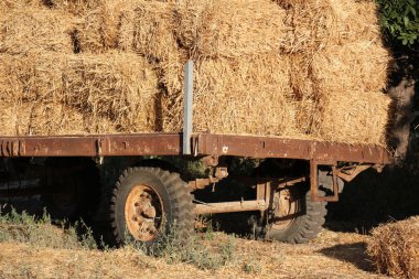 Kuru, sıkıştırılmış saman       