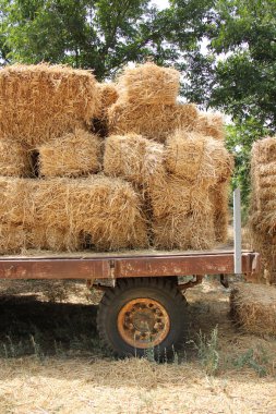 Kuru, sıkıştırılmış saman       