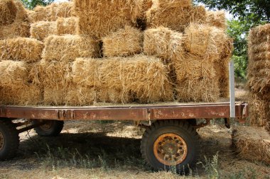 Kuru, sıkıştırılmış saman       