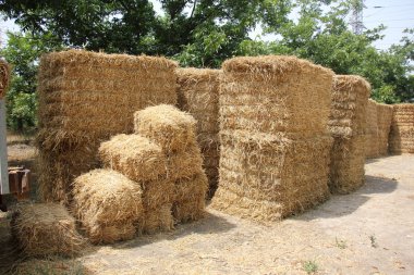 Kuru, sıkıştırılmış saman       