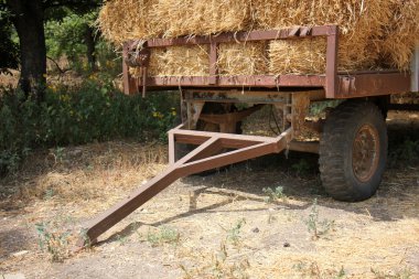 Kuru, sıkıştırılmış saman       