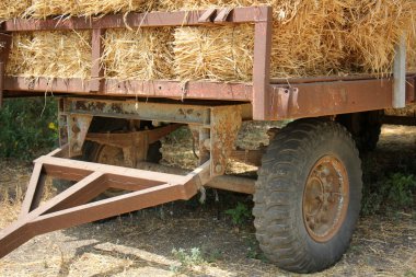 Kuru, sıkıştırılmış saman       