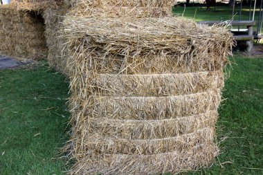 Kuru, sıkıştırılmış saman       