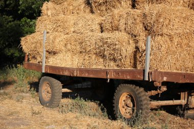 Kuru, sıkıştırılmış saman       